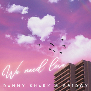 Danny Shark - We Need Love ft Bridgy