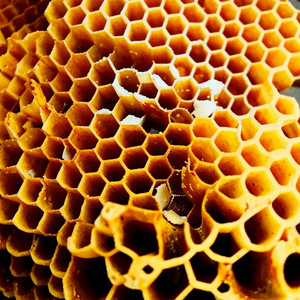 Didula - The Mundane Candle